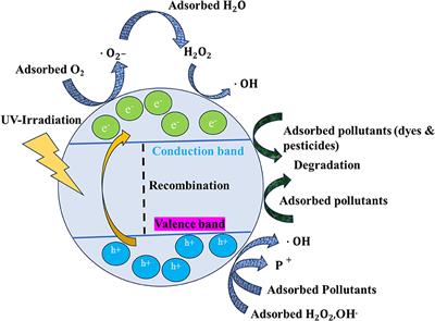 Microbial synthesis of titanium dioxide nanoparticles and their importance in wastewater treatment and antimicrobial activities: a review